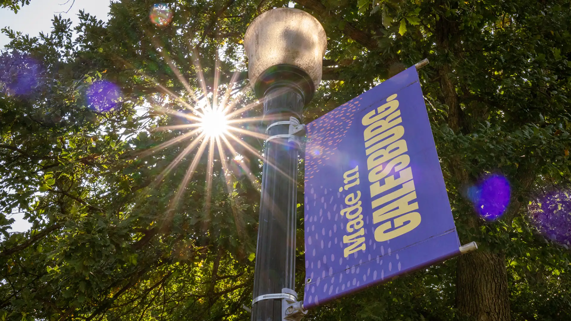 A photo of a purple Knox banner that says "Made in Galesburg" on a light pole. The photo is taken from below, showing a tree and sun flare behind the light pole.