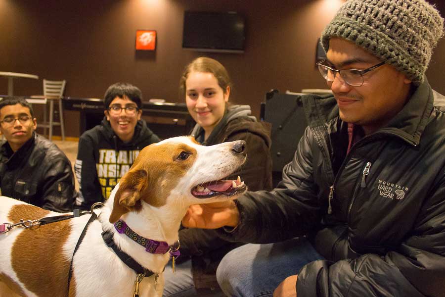 Pause for Paws helps students relieve stress as they get ready for final exams.
