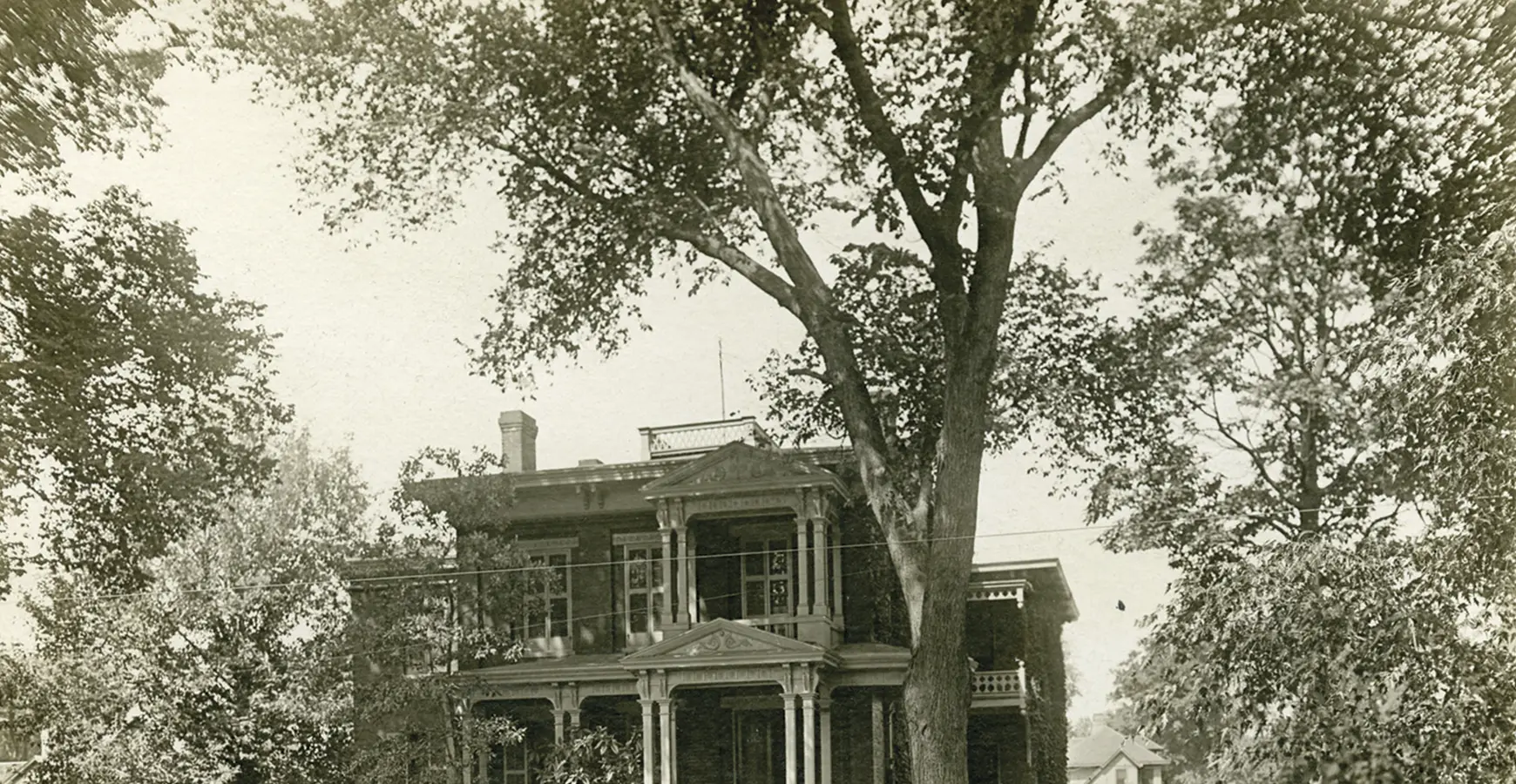 An old black and white photo of the Ginkgo tree that stands in front of the library.
