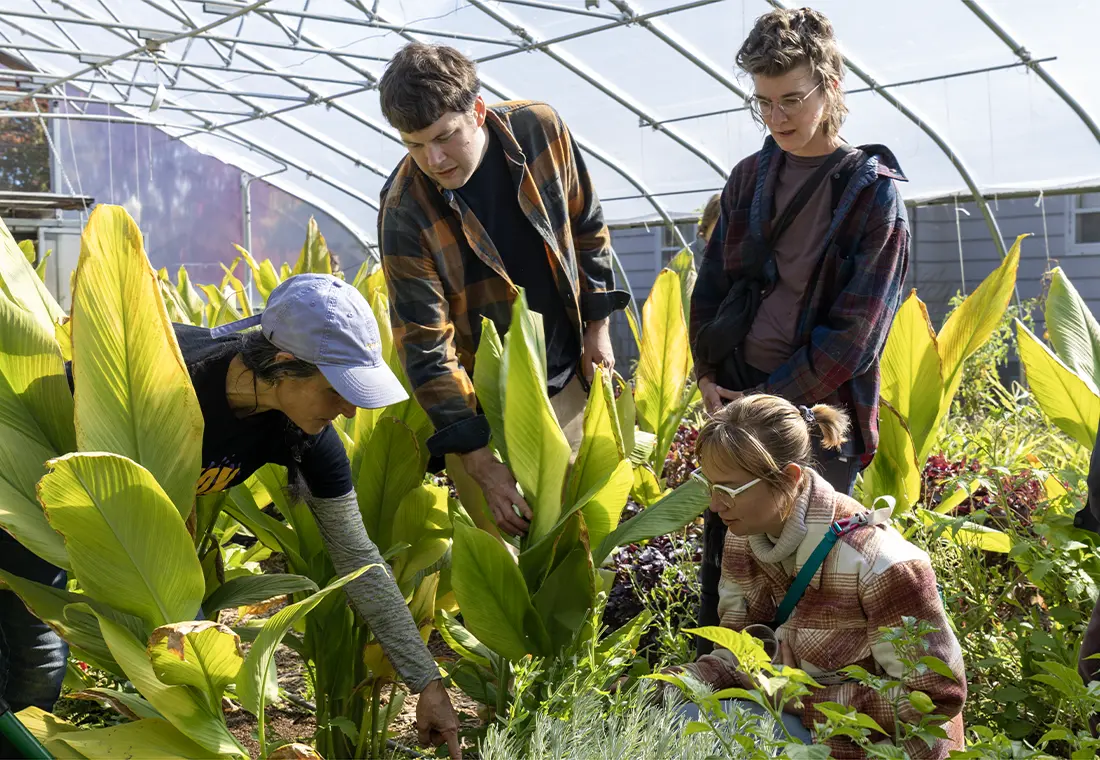 Four members of the Knox community examine plans in the hoop house at the Knox Farm.