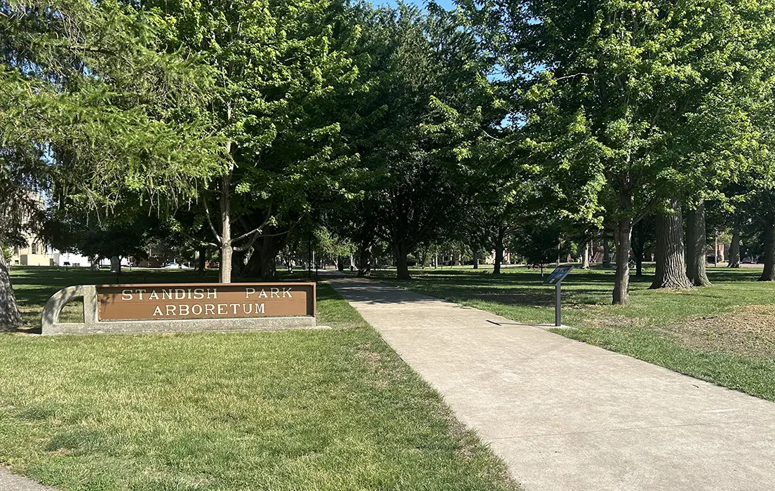 A sidewalk leads into an area shaded with mature trees. A sign to the left of the sidewalk reads Standish Park Arboretum.