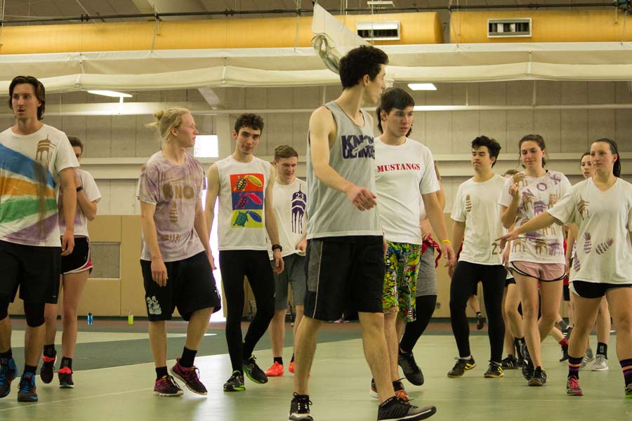 Winter Whiteout Ultimate Frisbee Tournament: Students and Alumni