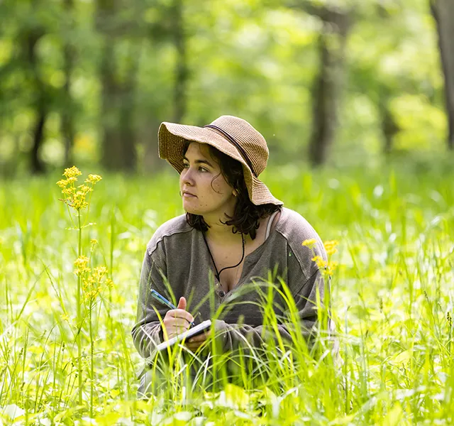 A student wearing a hat kneels in the middle of a field of prairie grass.