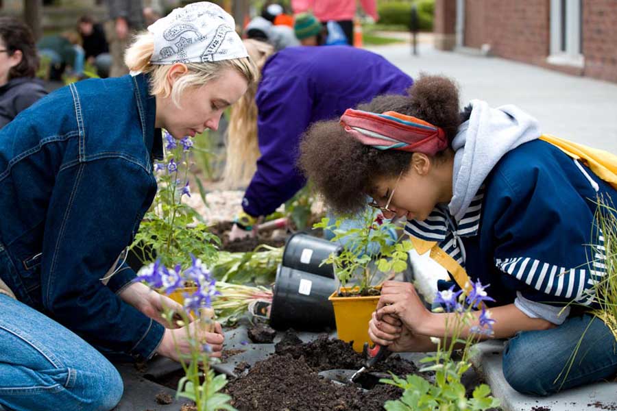 Students Plant Rain Garden near HOPE Center - Knox College