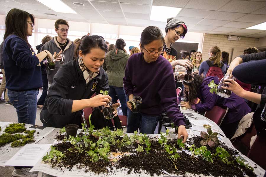 Knox College students build terrariums for Earth Day