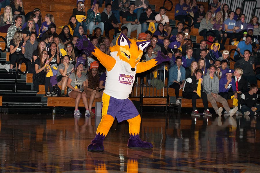 Blaze the Fox is unveiled as Knox College's mascot before a crowd of students and alumni at Homecoming 2016.